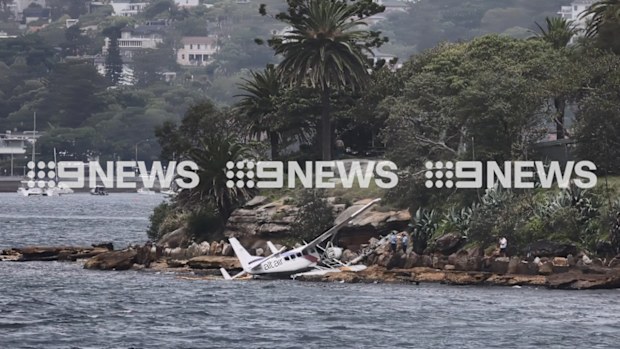 Seaplane sydney harbour shark island