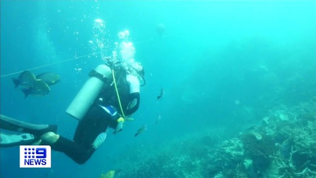 Great Barrier Reef