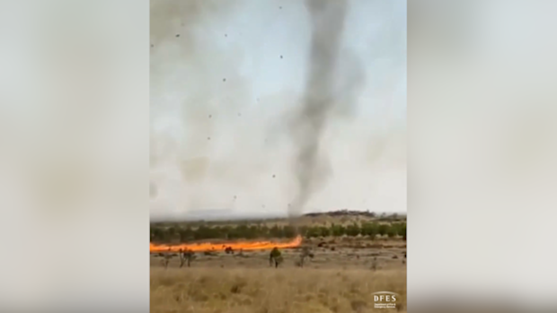 "Firenado" filmed tearing through the Western Australian bush.