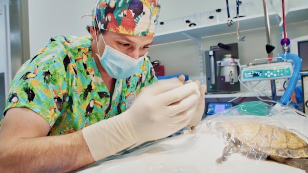 Dr James Haberfield, The Bizarre Pet Vets