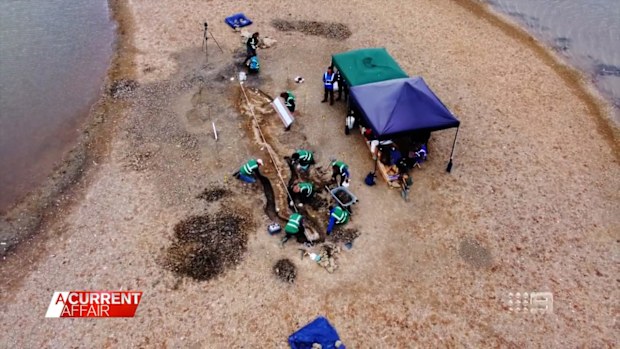 This week an almost complete skeleton of a 180 million-year-old Ichthyosaur was unveiled in Rutland, north of London. 