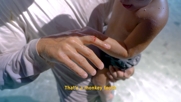 Aussie family attacked by monkeys at Monkey Beach in Thailand.