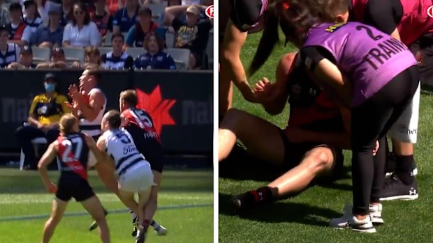 Geelong's Jeremy Cameron and Essendon's Jayden Laverde collide. 