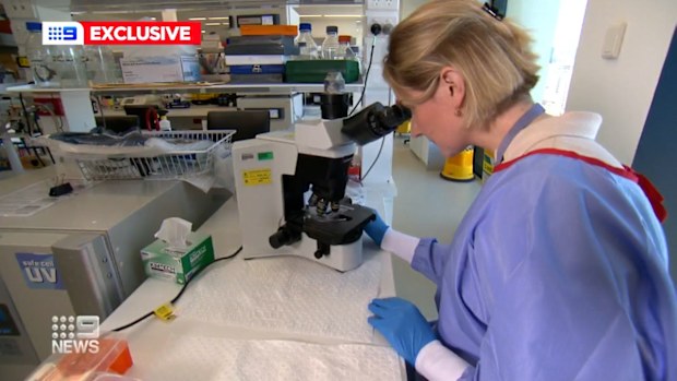 Researchers from the University of South Australia (UNISA) have had a scientific break-through, uncovering early warning signs that could indicate aggressive forms of breast cancer. 