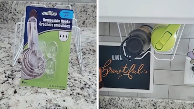 Dish rack TikTok storage hack