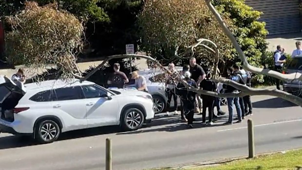 Melbourne: Teenager who filmed cyclist hit and run arrested again ...