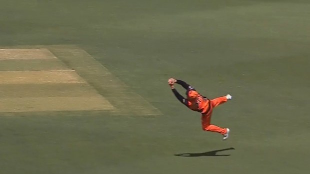 Jason Roy takes a screamer.