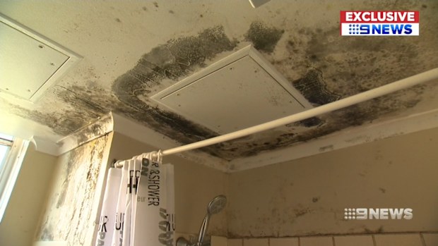 Families in a Sydney public housing building are being made sick from a mould infestation in their homes.