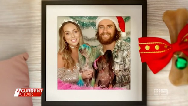 Australian pet owners are set to spend a staggering amount on their beloved animals this Christmas