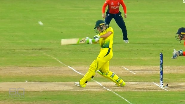Healey at the bat for Australia