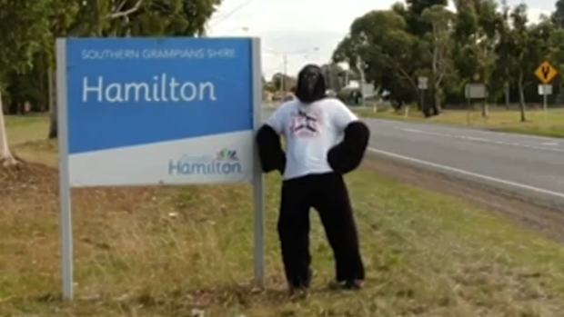 Hammo the gorilla lifting spirits in regional Victoria during lockdown 4.0