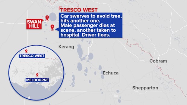 The fatal crash occurred near Swan Hill, Victoria, this morning. (9NEWS)