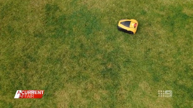Vacuuming and mopping the floors manually is a thing of the past, with robotic technology now more accessible than ever.