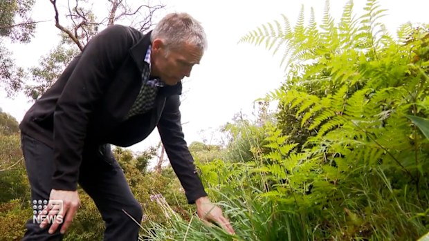 One-third of backyard vege patches could have toxic levels of lead