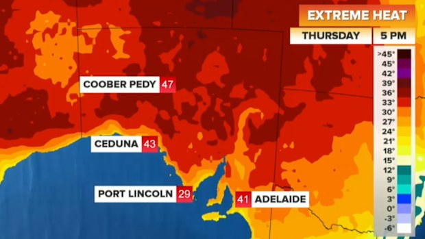 A health alert has been issued in SA.