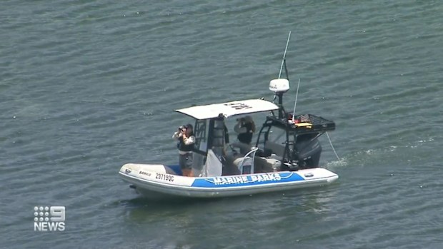 Queensland rangers are hunting for a three-metre crocodile on Minjerribah (North Stradbroke Island) after a reported sighting and have issued a warning to tourists and residents on the island.