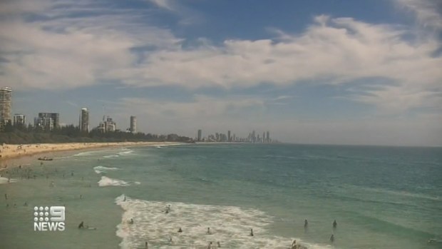 Beach-goers warned to be on the lookout for sharks as sightings are expected to increase along the gold coast