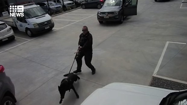 Carrum Downs hit run: CCTV shows police raiding factory to arrest man ...