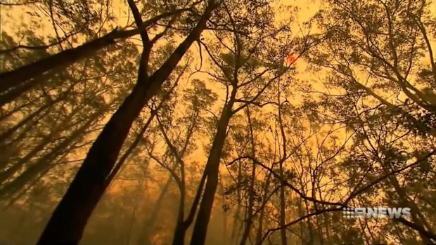 Smoke creates difficult conditions for crews battling the Wattlecreek fire in NSW. 