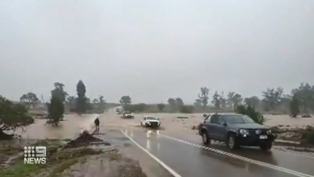 Drought: South Australia's heavy rainfall from La Nina bringing hope to ...