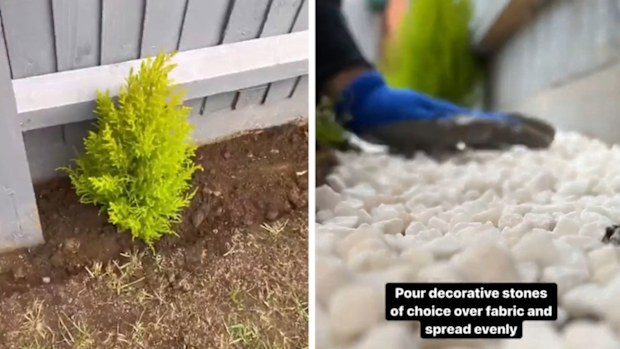 Gardening tips DIY