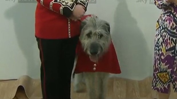 Platinum Jubilee mascot