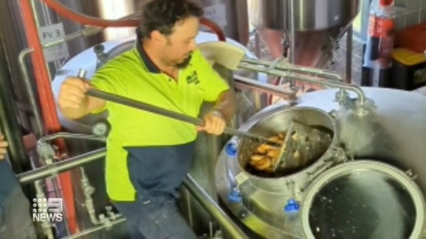 the brewing process takes around nine hours.