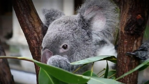 'The tax-payer has been taken for a ride': Millions in funding for ...