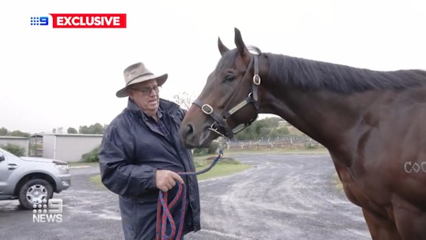 After winning $40 million on Lotto, a Queensland man has fulfilled his dream of owning a racehorse - and is now standing to win even more money.Former disability worker Cliff Little, from Cairns, scooped a $40m powerball jackpot four years ago.
Now a horse he bought with his winnings is set to run a prestigious race with a $1m prize.