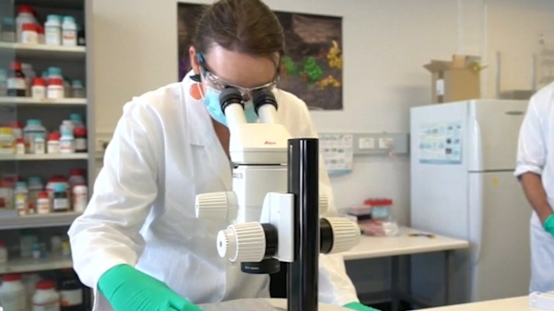 Breakthrough in Parkinson's research could eventually see a treatment for the currently incurable neurological disease.