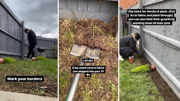 Gardening tips DIY