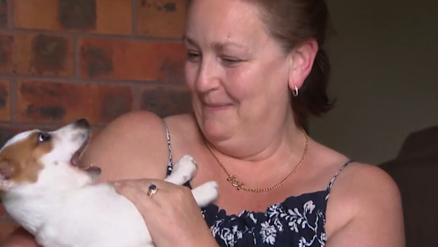 Teenage charged after stealing puppy during alleged crime spree through Sydney's south.