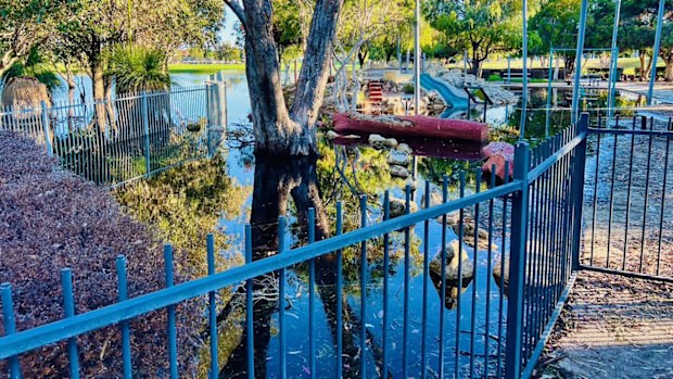 A Perth councillor is in a standoff with council over a mosquito and midge outbreak that is leaving children with bites at a popular park.