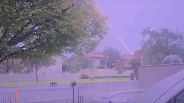 WILD WEATHER VICTORIA: Oak Park 2.2.25