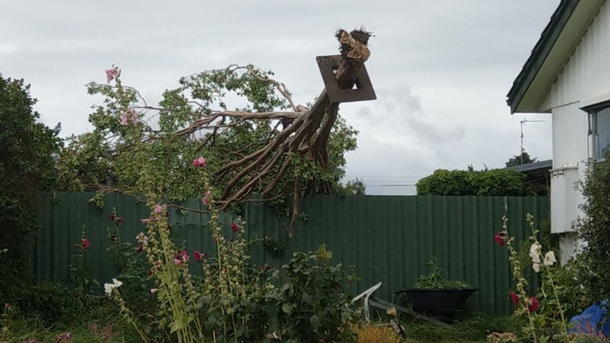 Weather Victoria: BoM confirms Horsham storm was a tornado | Nine.com.au