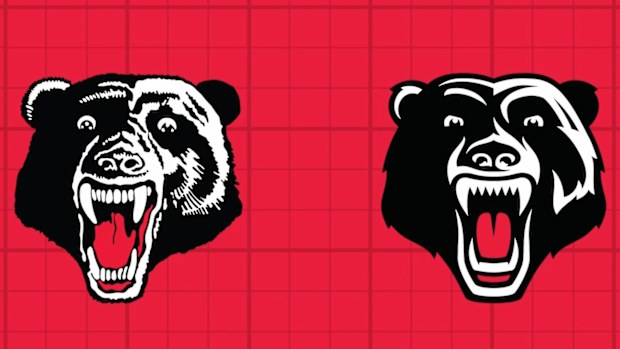 The Perth Bears unveil their new logo, showcasing the club's connection between its past and its future.