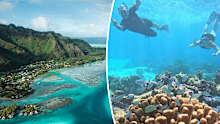 moorea travel