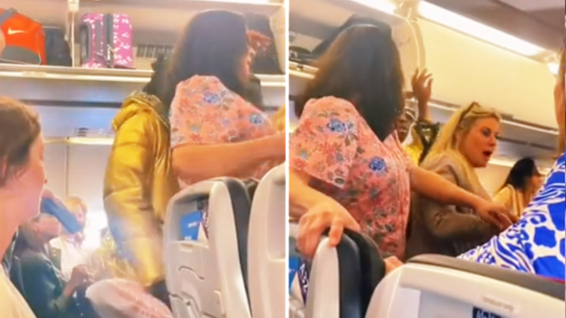 Traveller is filmed pushing past people as everyone waits to get off a plane after flight