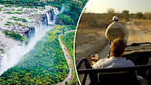 dave whitehill africa