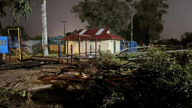 Trees and powerlines were down across Warwick.
