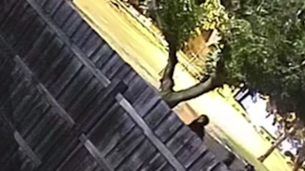 Police hunt three suspects after bricks thrown from overpass in Melbourne