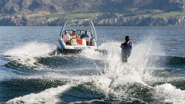 water skiier seen from behind