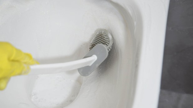 Washing and cleaning the toilet with a brush and detergent to remove dirt, limescale and urinary stone. Cleaning company services