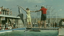 The Gold Coast, renowned for its theme parks that have drawn millions over six decades, also boasts a rich history of early attractions that captured the imagination of visitors.