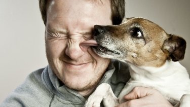Scientists Test Whether Dogs Or Cats Love Humans More