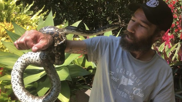 Drew Godfrey has been catching snakes professionally for seven years.