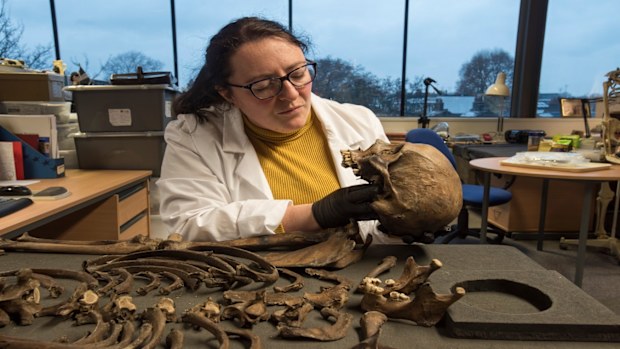 Archaeologist examines skeleton after it was pulled from London's River Thames