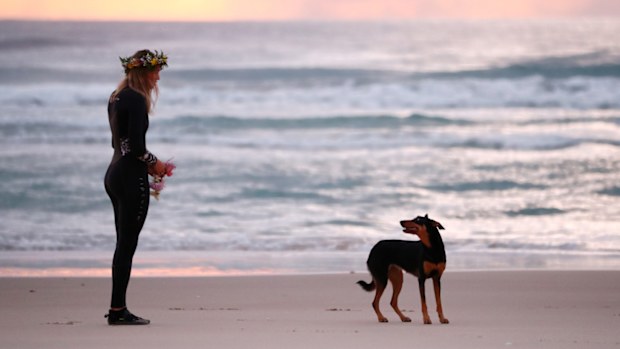 Alex Pullin's girlfriend Ellidy Vlug and kelpie Rummi pay respects in memory of Alex 'Chumpy' Pullin on July 11, 2020 in Gold Coast, Australia.