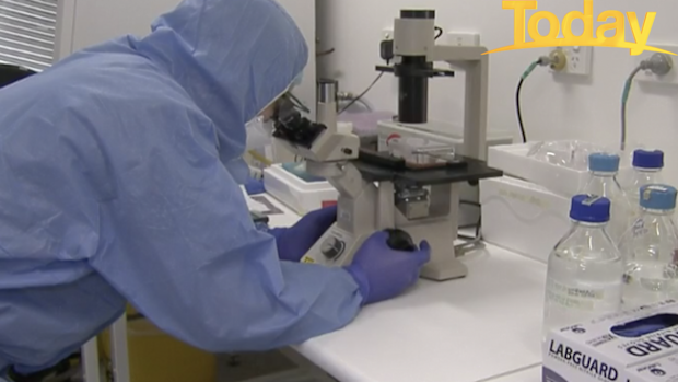 Eight teams are working around the clock in hopes to improve our understanding about the deadly virus.