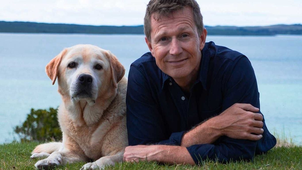 Tony Knight death: Australian comedian dies in 'freak accident' in ...